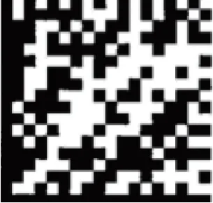 DM Code