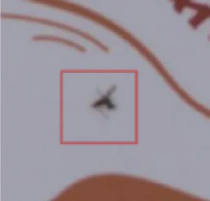 Foreign Object