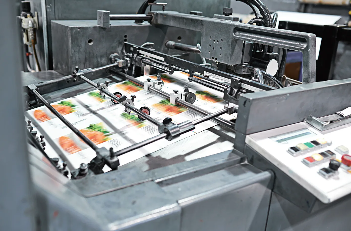 Carton Packaging Inspection